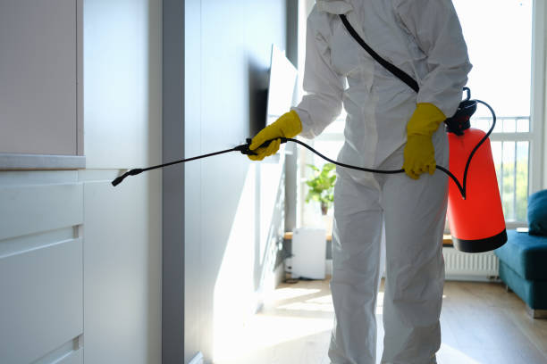 Best Residential Mold Remediation in Wallburg, NC