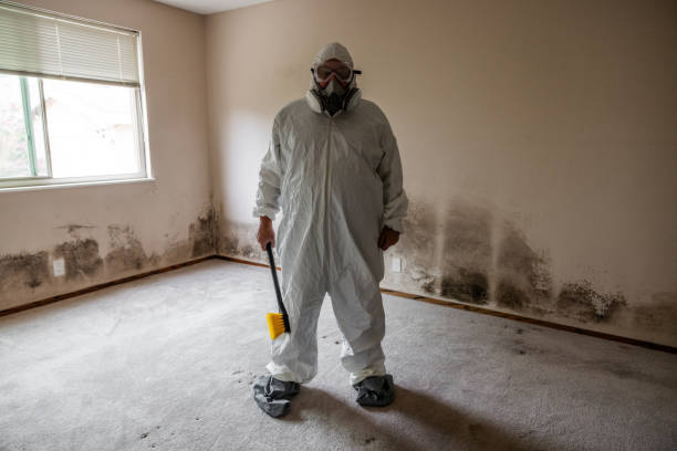 Best Residential Mold Remediation in Wallburg, NC